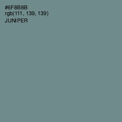 #6F8B8B - Juniper Color Image