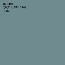 #6F8B90 - Hoki Color Image