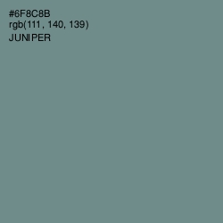 #6F8C8B - Juniper Color Image