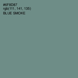 #6F8D87 - Blue Smoke Color Image