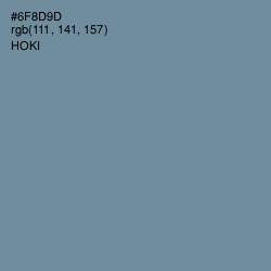 #6F8D9D - Hoki Color Image