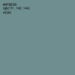 #6F8E90 - Hoki Color Image