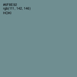 #6F8E92 - Hoki Color Image