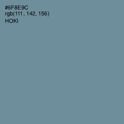 #6F8E9C - Hoki Color Image