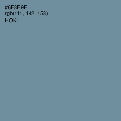 #6F8E9E - Hoki Color Image