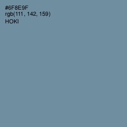 #6F8E9F - Hoki Color Image