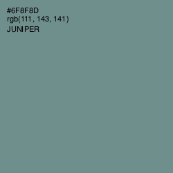 #6F8F8D - Juniper Color Image