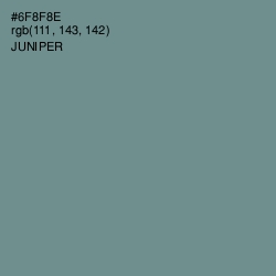 #6F8F8E - Juniper Color Image