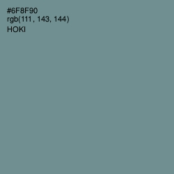 #6F8F90 - Hoki Color Image