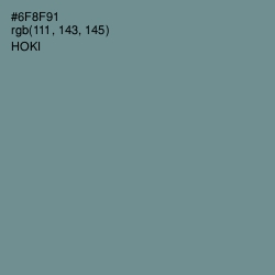 #6F8F91 - Hoki Color Image