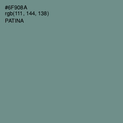 #6F908A - Patina Color Image