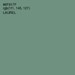 #6F917F - Laurel Color Image