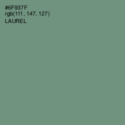 #6F937F - Laurel Color Image