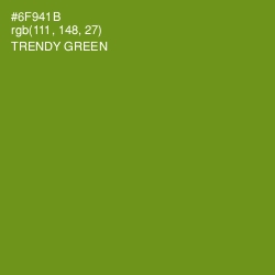 #6F941B - Trendy Green Color Image