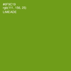 #6F9C19 - Limeade Color Image