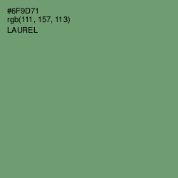 #6F9D71 - Laurel Color Image