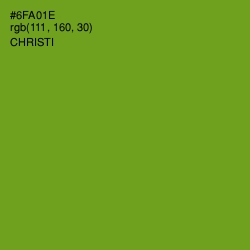 #6FA01E - Christi Color Image