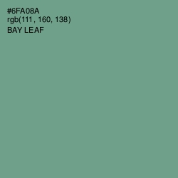 #6FA08A - Bay Leaf Color Image