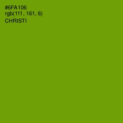 #6FA106 - Christi Color Image