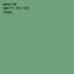 #6FA17B - Fern Color Image