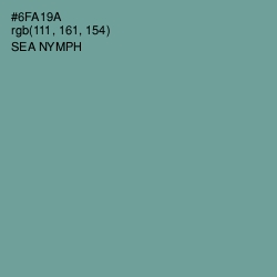 #6FA19A - Sea Nymph Color Image