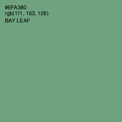 #6FA380 - Bay Leaf Color Image