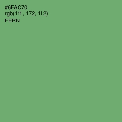 #6FAC70 - Fern Color Image