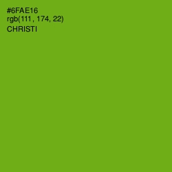 #6FAE16 - Christi Color Image