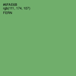 #6FAE6B - Fern Color Image