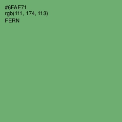 #6FAE71 - Fern Color Image