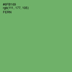 #6FB169 - Fern Color Image
