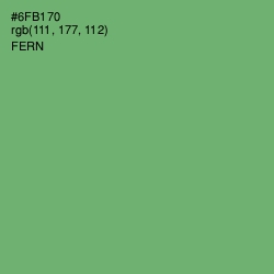 #6FB170 - Fern Color Image