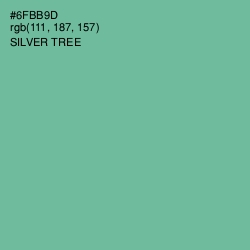 #6FBB9D - Silver Tree Color Image