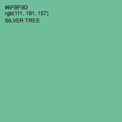 #6FBF9D - Silver Tree Color Image