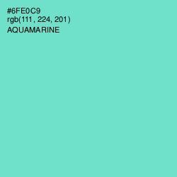 #6FE0C9 - Aquamarine Color Image