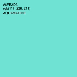 #6FE2D3 - Aquamarine Color Image