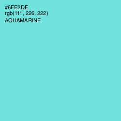 #6FE2DE - Aquamarine Color Image