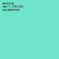 #6FE4CB - Aquamarine Color Image