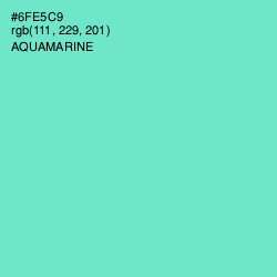 #6FE5C9 - Aquamarine Color Image