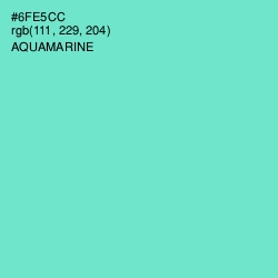 #6FE5CC - Aquamarine Color Image