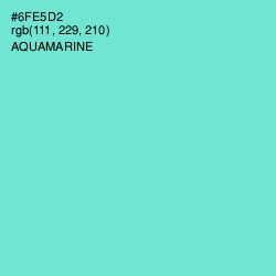 #6FE5D2 - Aquamarine Color Image
