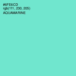 #6FE6CD - Aquamarine Color Image