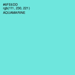 #6FE6DD - Aquamarine Color Image