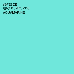 #6FE8DB - Aquamarine Color Image