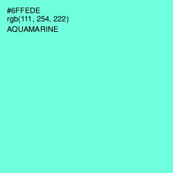 #6FFEDE - Aquamarine Color Image