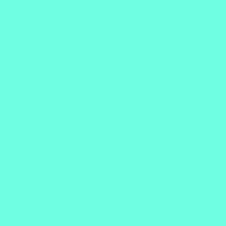 #6FFEE2 - Aquamarine Color Image