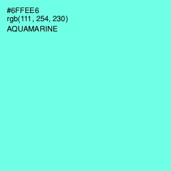 #6FFEE6 - Aquamarine Color Image