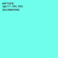 #6FFEEB - Aquamarine Color Image