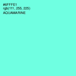 #6FFFE1 - Aquamarine Color Image