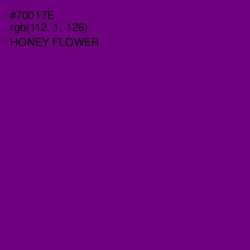 #70017E - Honey Flower Color Image